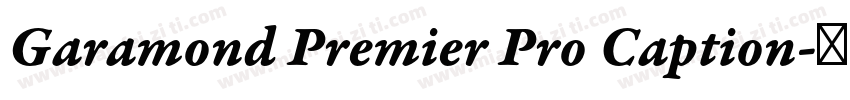 Garamond Premier Pro Caption字体转换